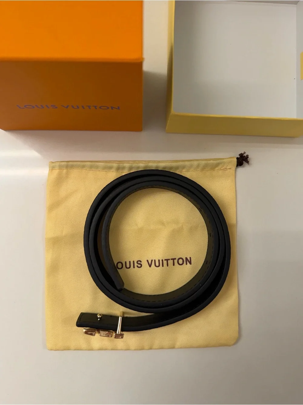Louis Vuitton classic versatile